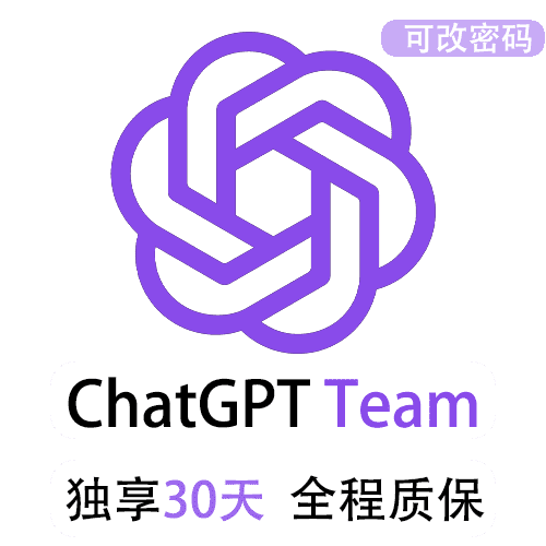 ChatGPT团队版Team独享账号 | 最新上线全网首发 | 全程质保